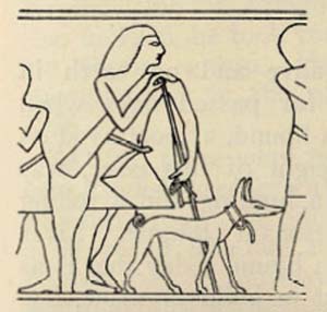 Drawing from the bas-relief from the tomb of Khafraankh